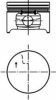 DACIA 6001549029 Piston